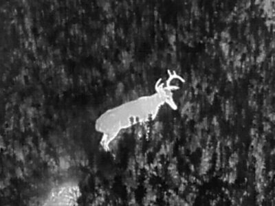 Drone Deer Recovery | Propelled Precision