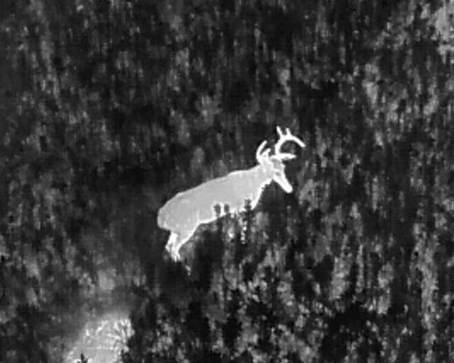 Drone Deer Recovery | Propelled Precision