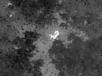 Drone Deer Recovery | Propelled Precision