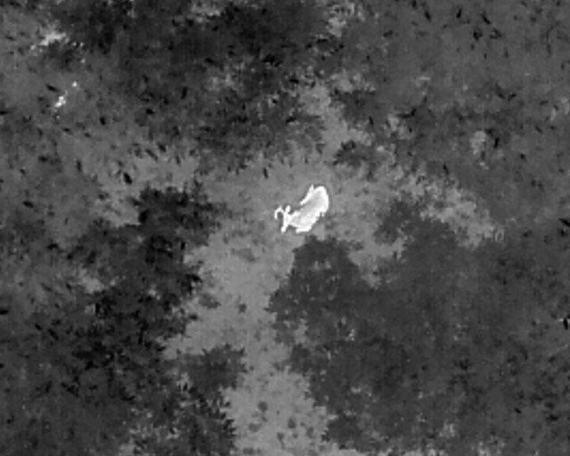 Drone Deer Recovery | Propelled Precision