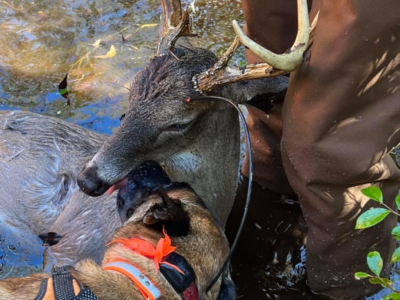 Last Chance Tracking and Recovery