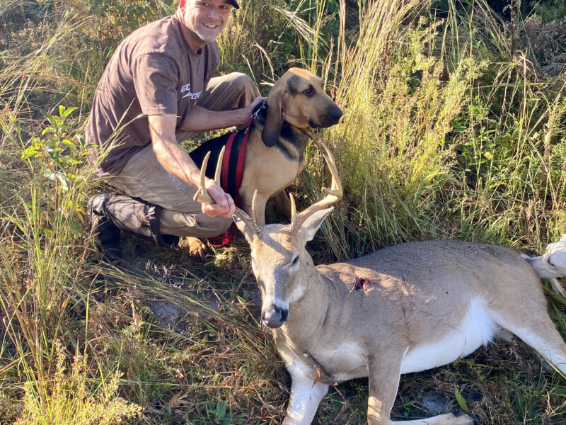 Dog Deer Recovery | Soggy Bottom Game Recovery