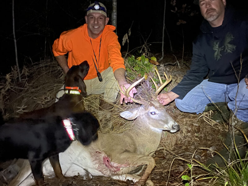 Dog Deer Recovery | Soggy Bottom Game Recovery