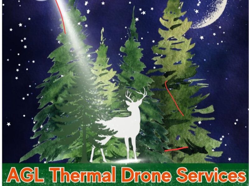 Drone Deer Recovery & Herd Analysis | AGL Drone Services